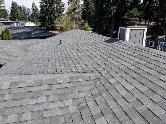 McArthur & Son's Inc., Roofing Specialist For 20-plus Years Picture 2