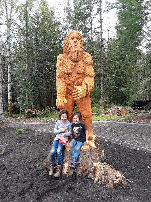 Preferred Roof Services Picture 10