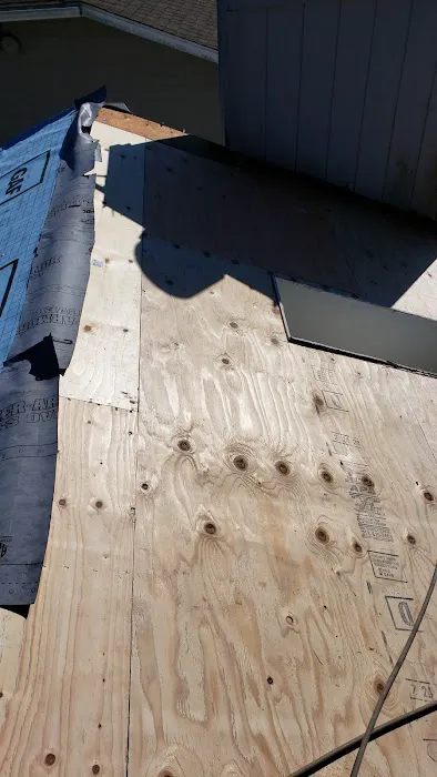 Techo Roofing Picture 7