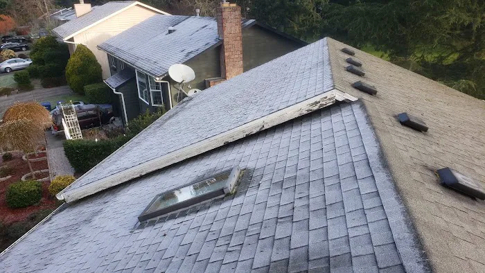 Techo Roofing Picture 6