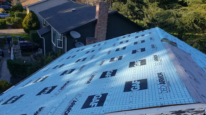 Techo Roofing Picture 9