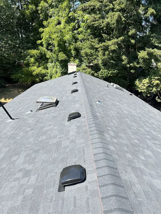 Olmos Brothers roofing company Picture 2