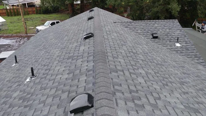 DLG ROOFING LLC Picture 1
