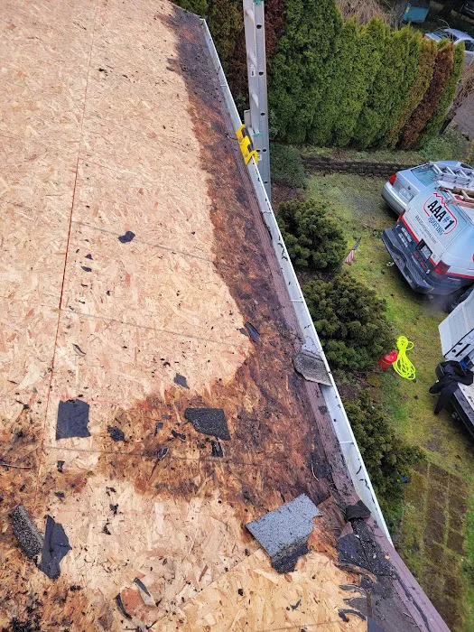AAA #1 Roofing Picture 10
