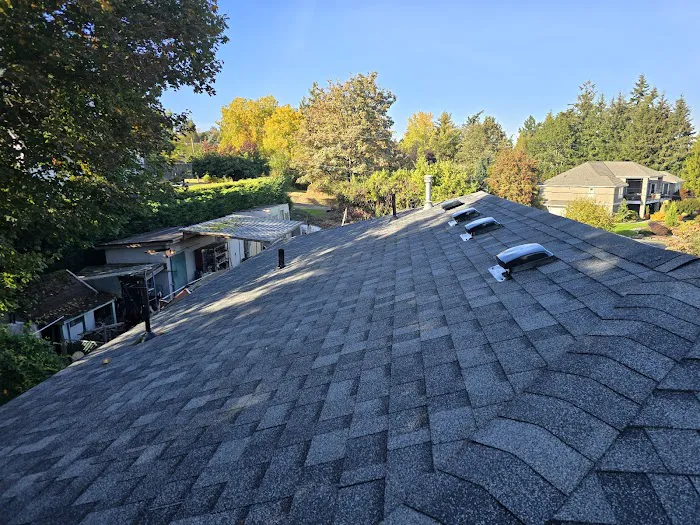 High Level Roofing Picture 4