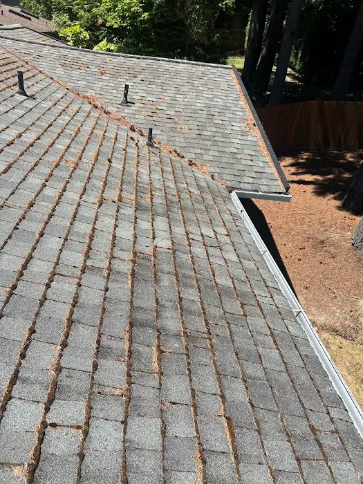 Valentine Roofing Picture 10