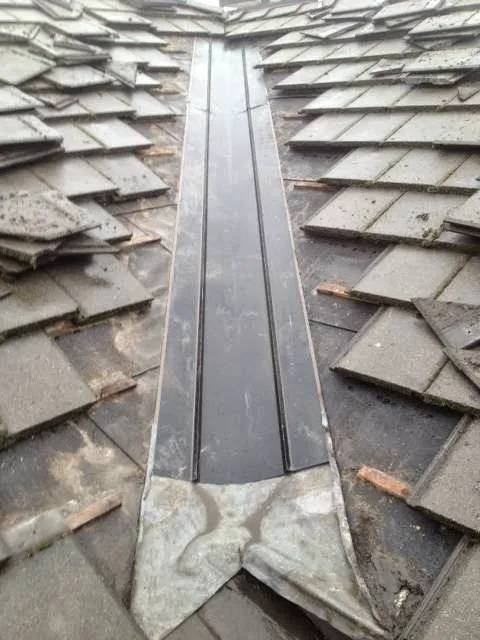 Specialized Exteriors Inc. Picture 7