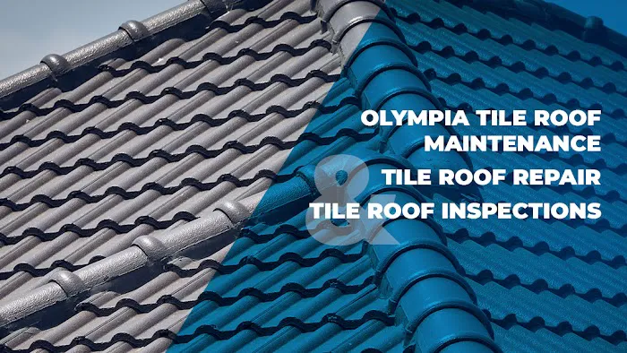 Specialized Exteriors Inc. Picture 10