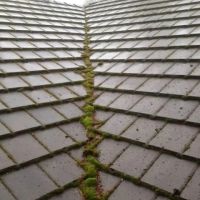 Specialized Exteriors Inc. ico