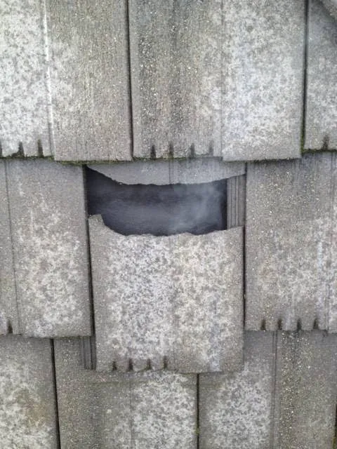 Specialized Exteriors Inc. Picture 6