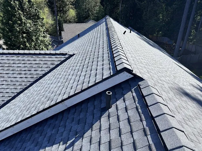 JS Roofing Picture 8