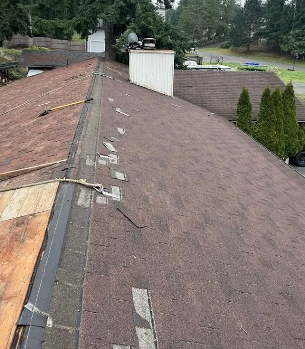 Family Quality Roofing Picture 4