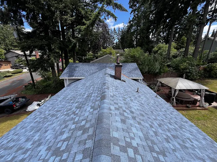 Proline Roofing and Restoration Picture 4