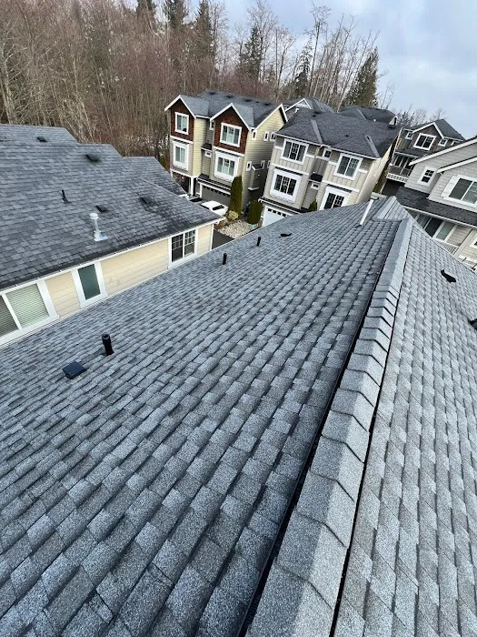 Orlando's Pro Roofing Picture 10