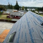 Endurant Roof