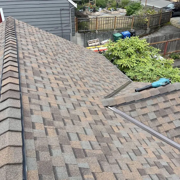 Endurant Roof Picture 9