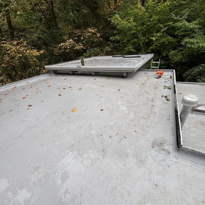 Endurant Roof Picture 5