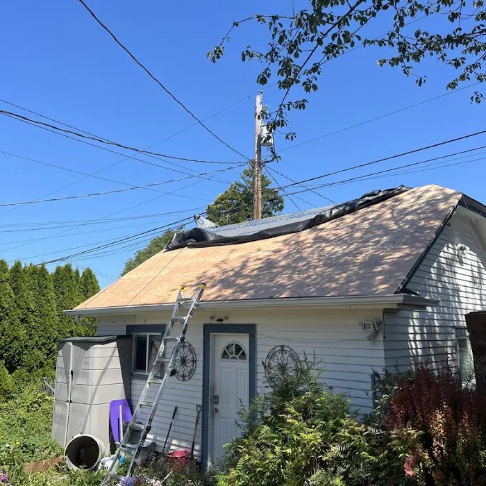 Endurant Roof Picture 7