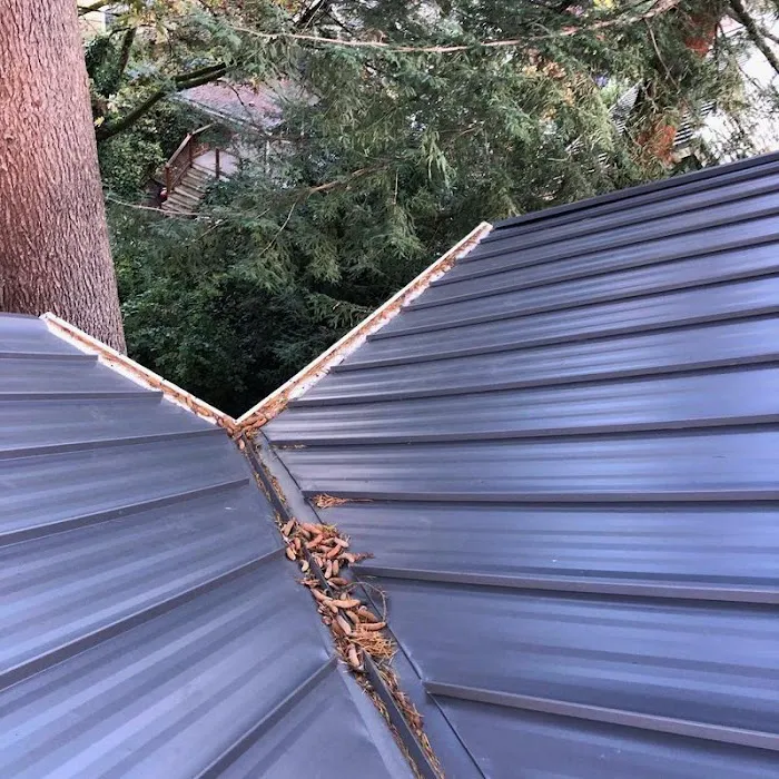 Endurant Roof Picture 3