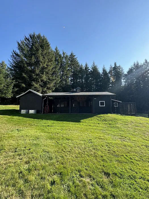 Port Orchard Roofing LLP Picture 1