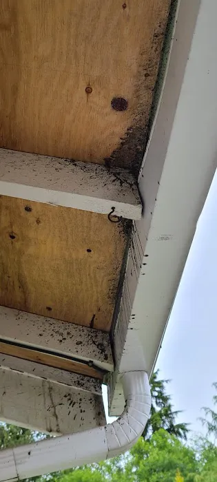 Port Orchard Roofing LLP Picture 3