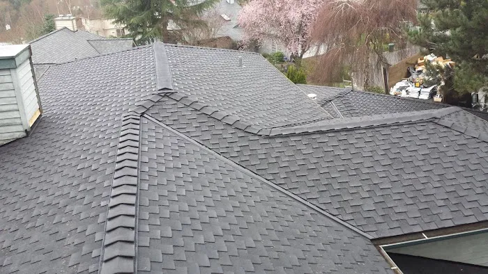 Port Orchard Roofing LLP Picture 2