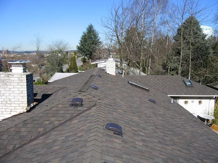 albertson roofing Picture 6