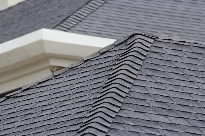 Stanwood Camano Roofing Picture 1