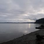 Step Above Construction