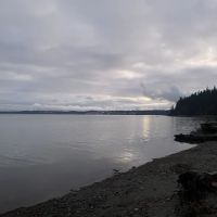 Step Above Construction ico