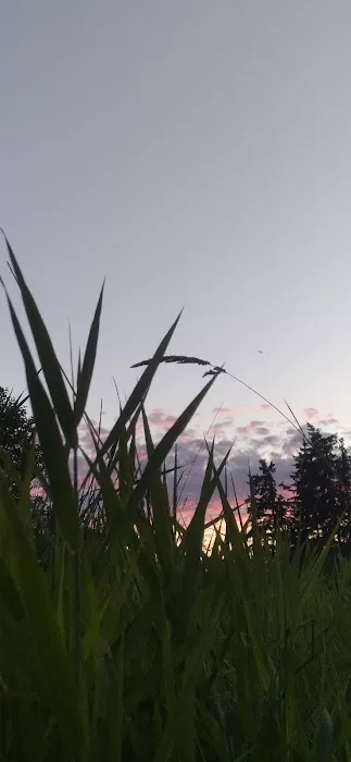 A-1 Roofing inc. Picture 1