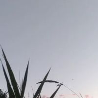 A-1 Roofing inc. ico