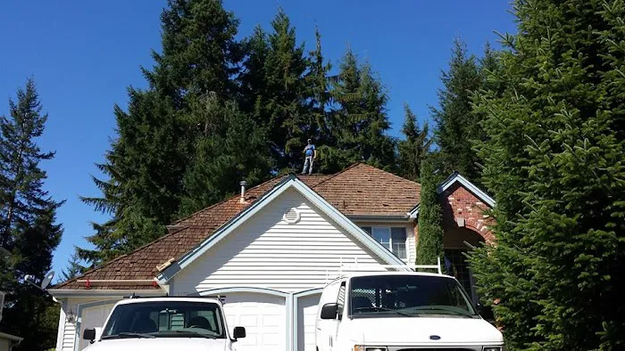 Affordable Roof Cleaning Picture 1