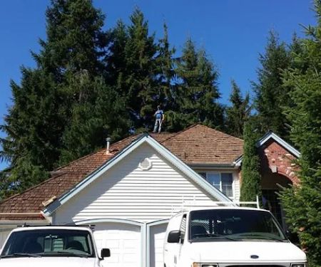 Affordable Roof Cleaning