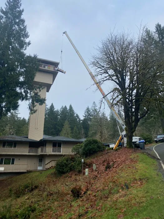 Evergreen State Roofing Picture 9