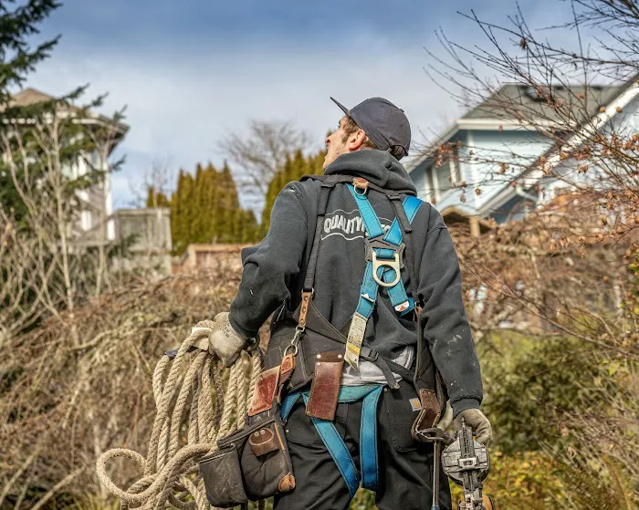 Qualityroofs Picture 2