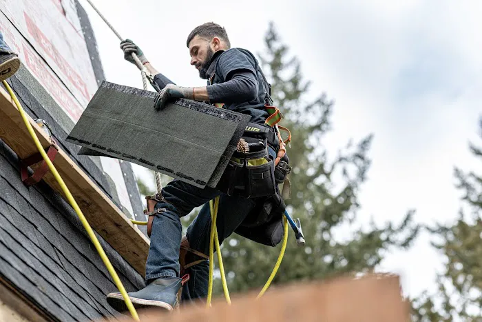 Qualityroofs Picture 8