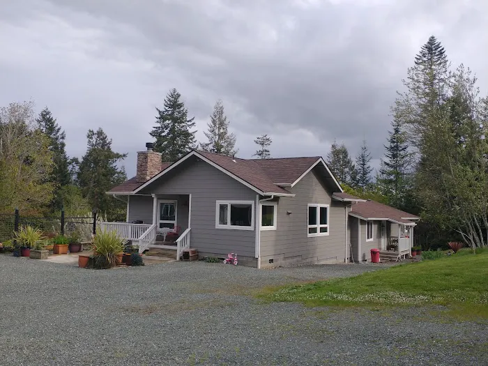 Next Level Roofing Picture 1