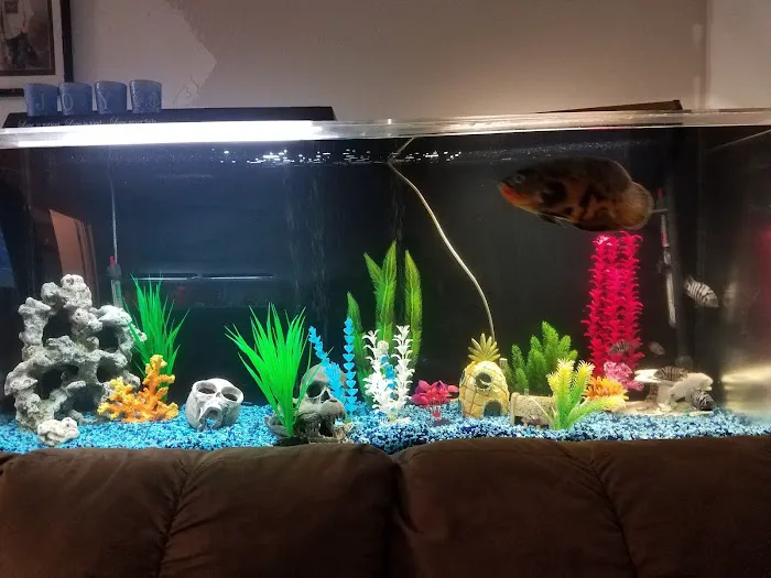 K O Roofing Picture 4