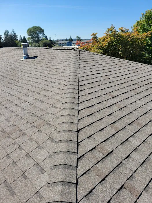 Whidbey Roofing Picture 7