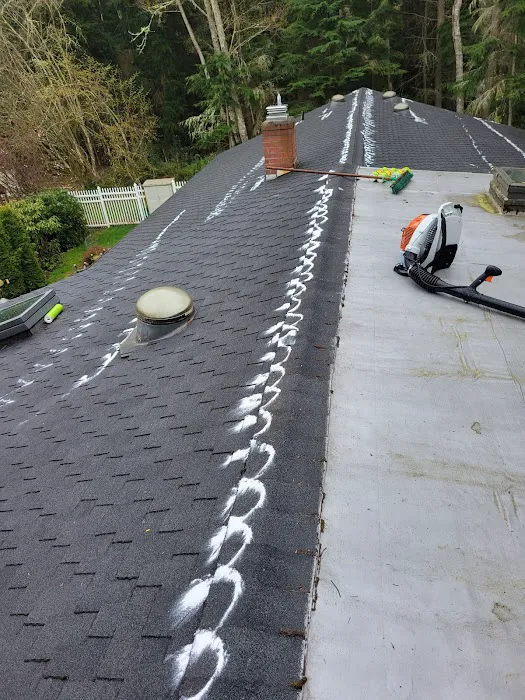 Whidbey Roofing Picture 4