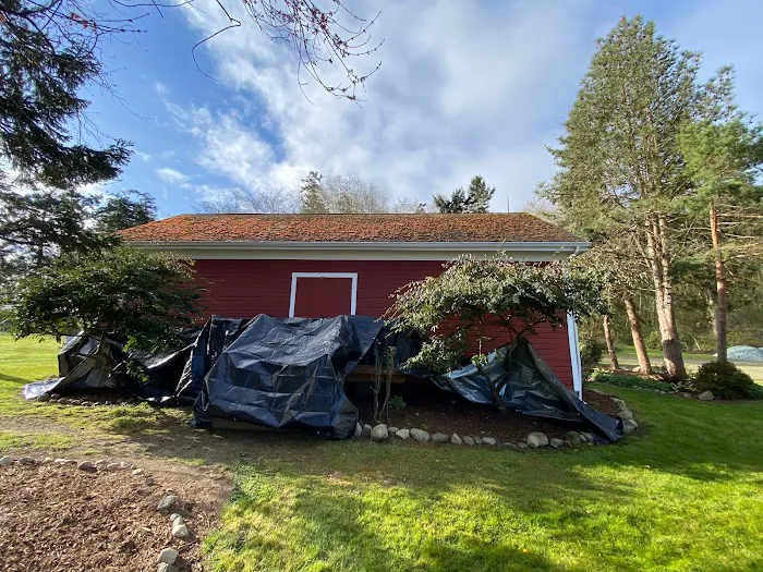 Done Right Roofing and Construction Picture 10