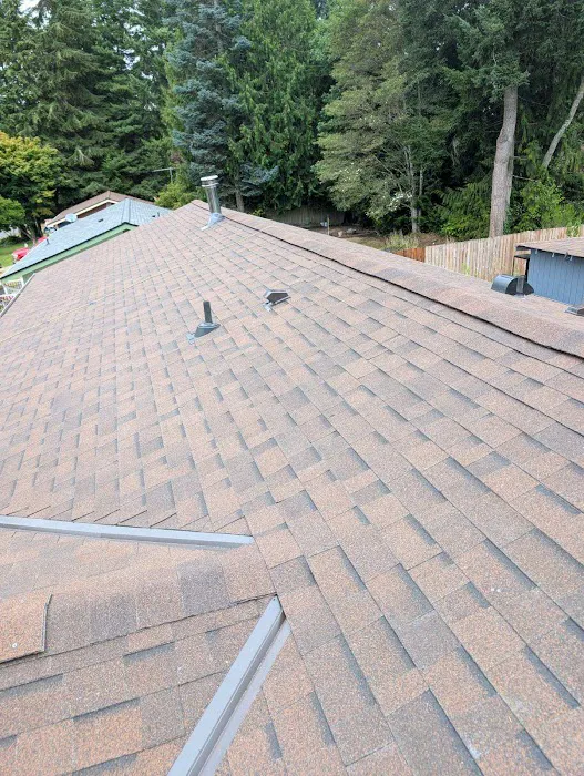 Blue Sky Roofing Picture 4