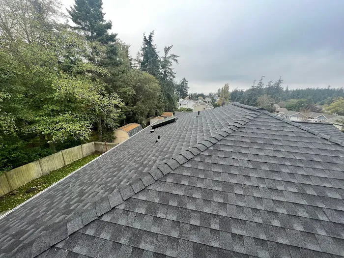Savage Roofing Picture 8