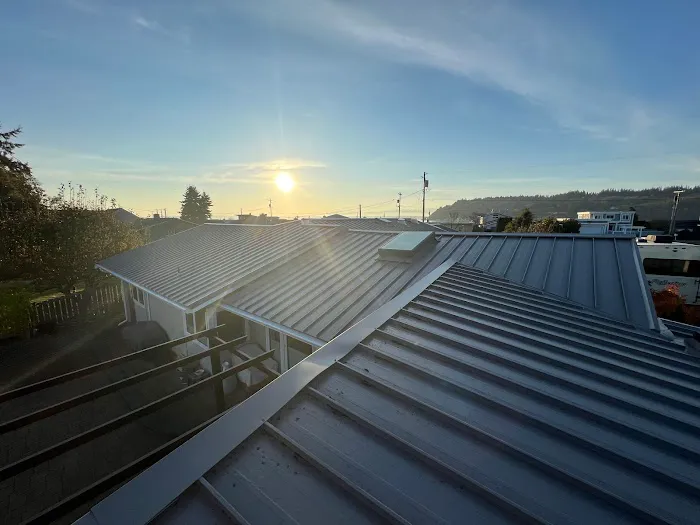 Savage Roofing Picture 1