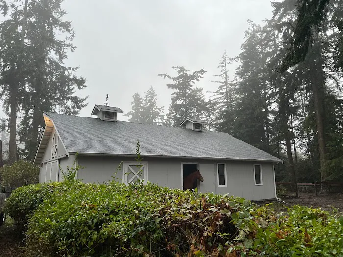 Savage Roofing Picture 7