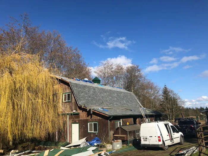 Wind Proof Roofing Picture 4