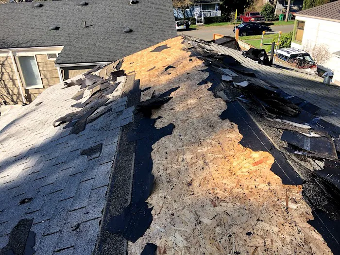 Wind Proof Roofing Picture 7