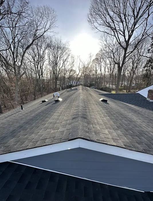 Pinnacle Roofing Picture 2