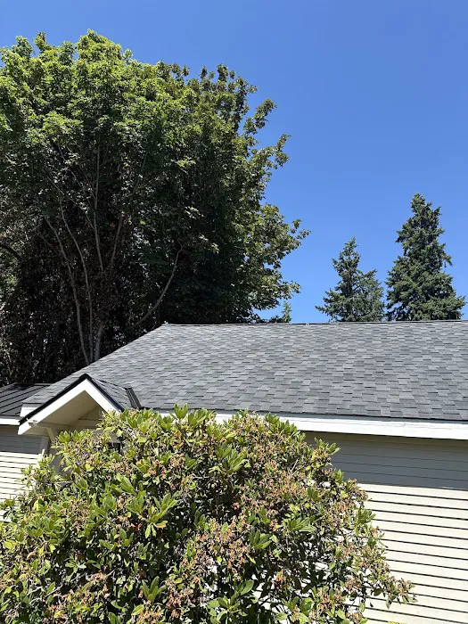 Integrity Roofing & Construction Picture 9